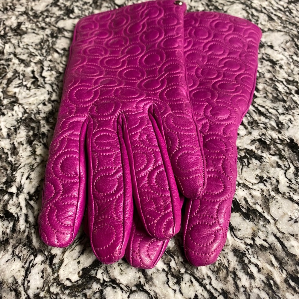 Coach Leather Gloves